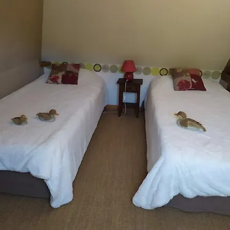 לינה וארוחת בוקר Duck House 3*