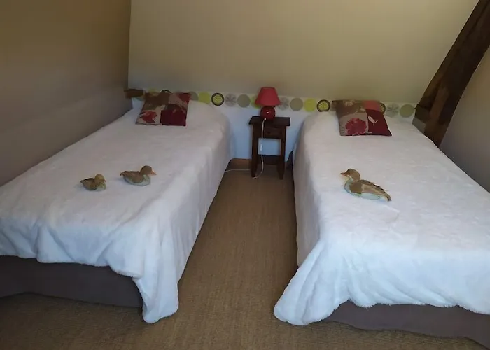 Nocleg ze śniadaniem Duck House 3*